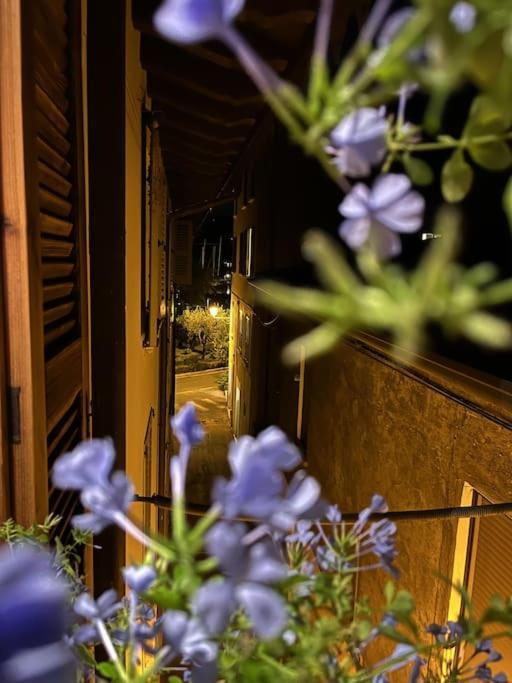 La Piccola Casa Al Lago - Intera Casa Con 3 Camere E 2 Box 萨罗 外观 照片
