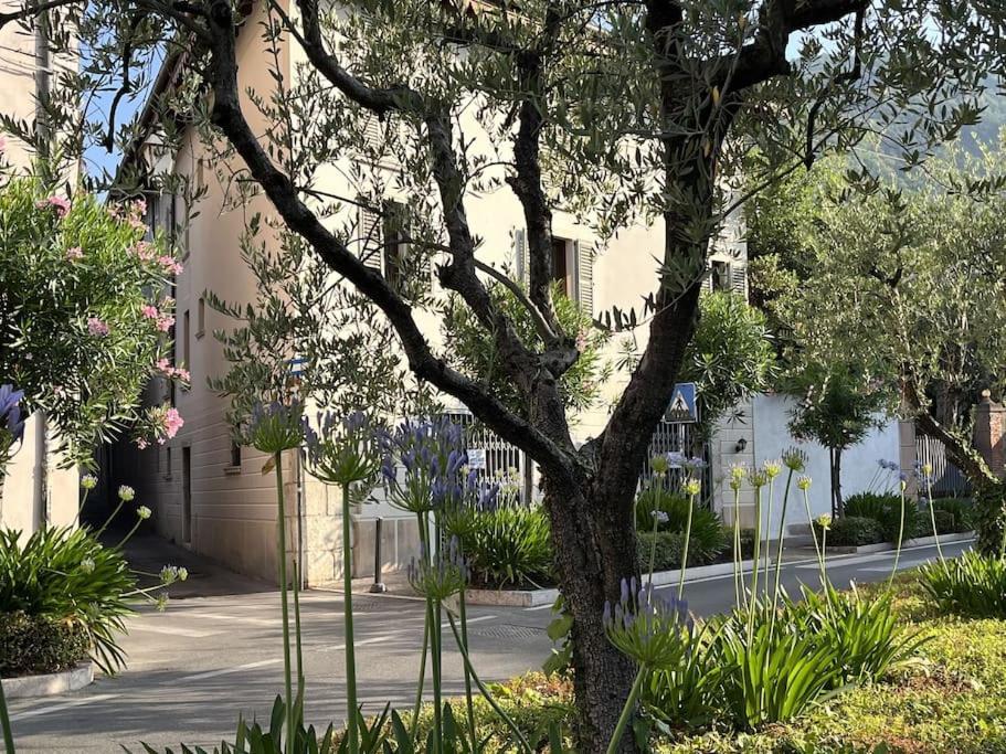 La Piccola Casa Al Lago - Intera Casa Con 3 Camere E 2 Box 萨罗 外观 照片